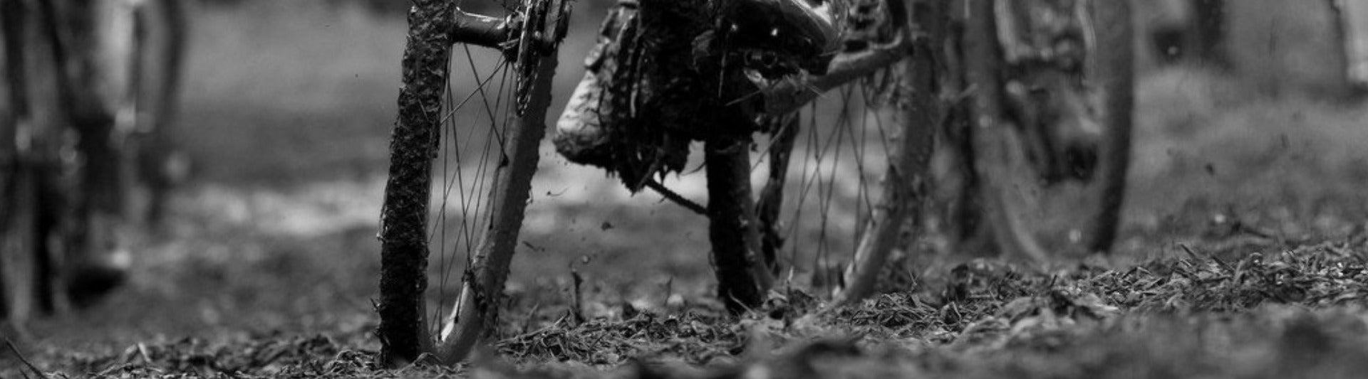 Cubiertas online ciclocross tubeless