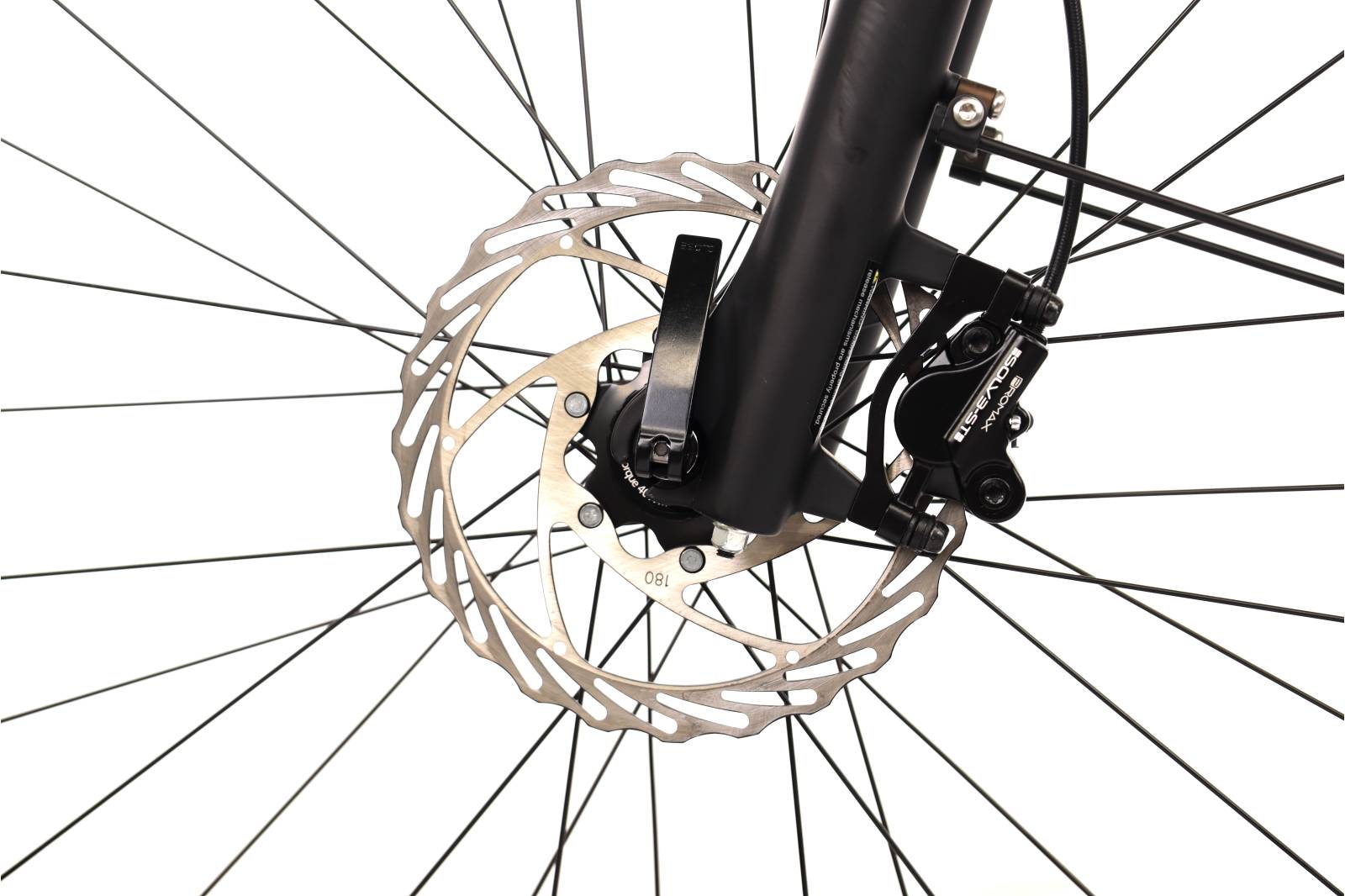 Bianchi e-Vertic T-Type