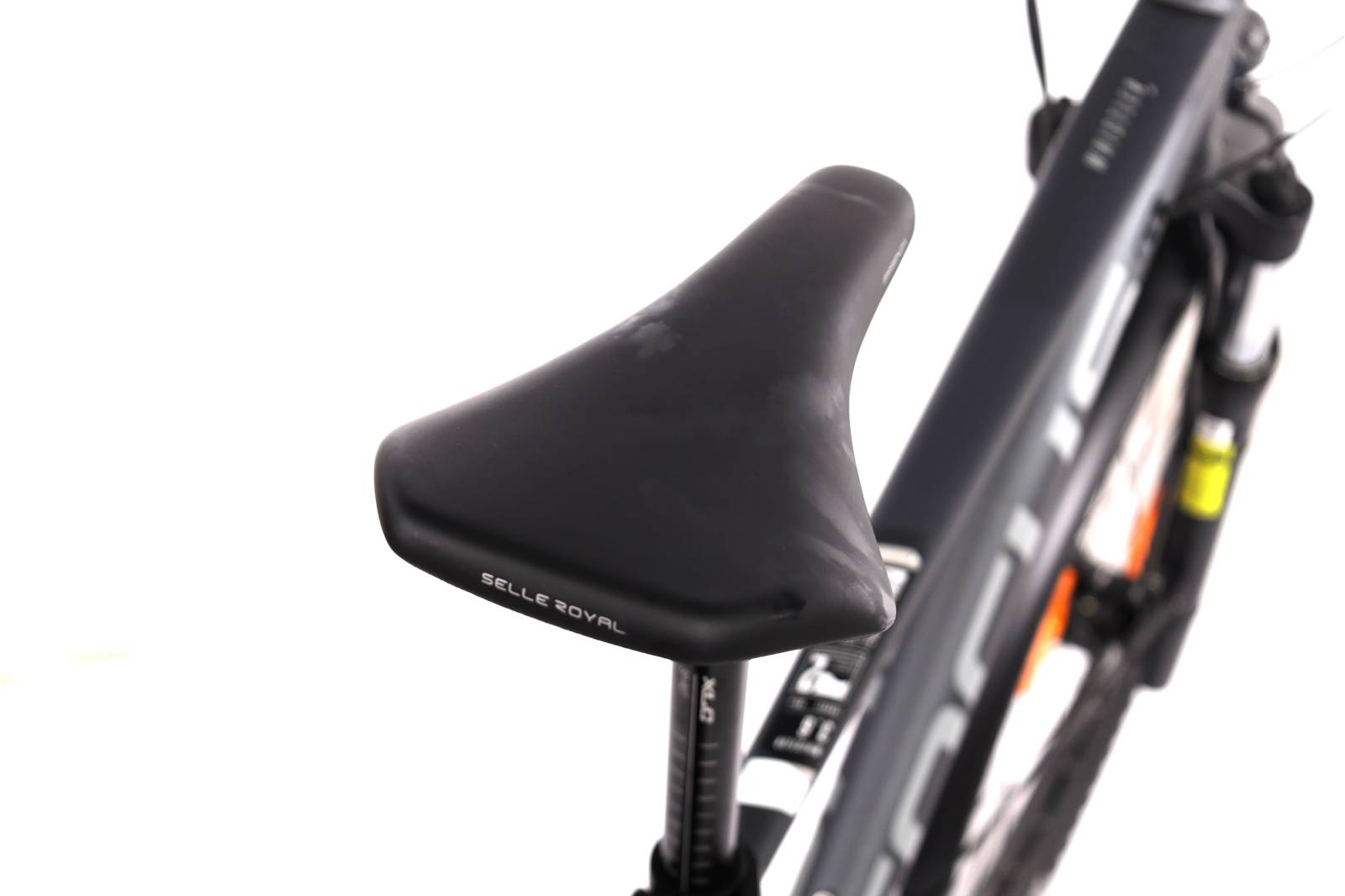 Focus Whistler 3.6