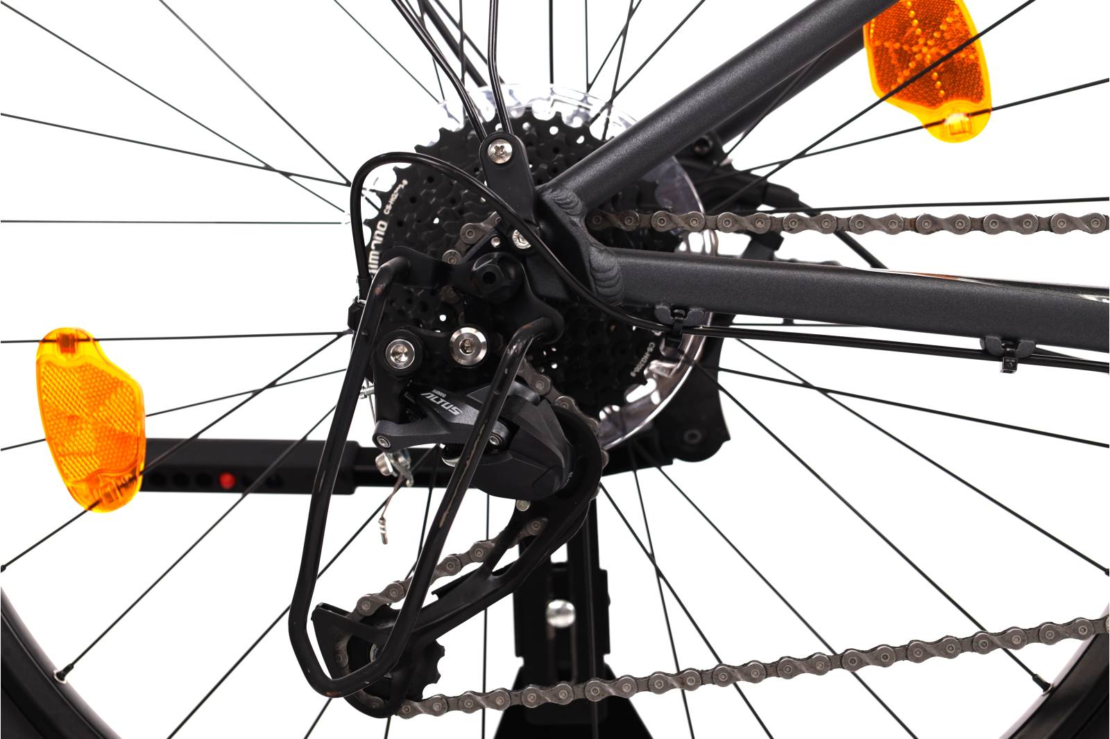 Focus Whistler 3.6