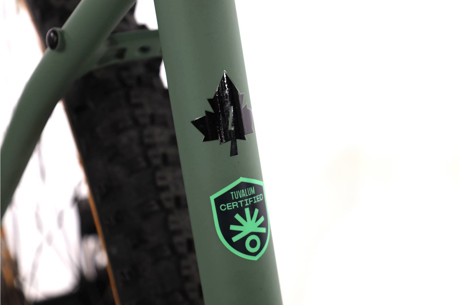 Focus Whistler 3.8