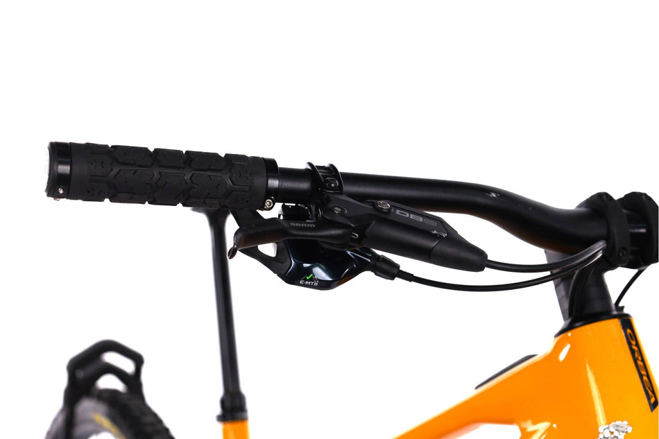 Orbea Wild H20