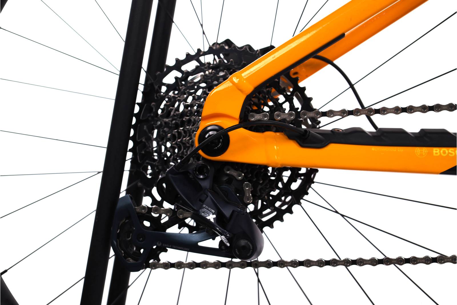 Orbea Wild H20