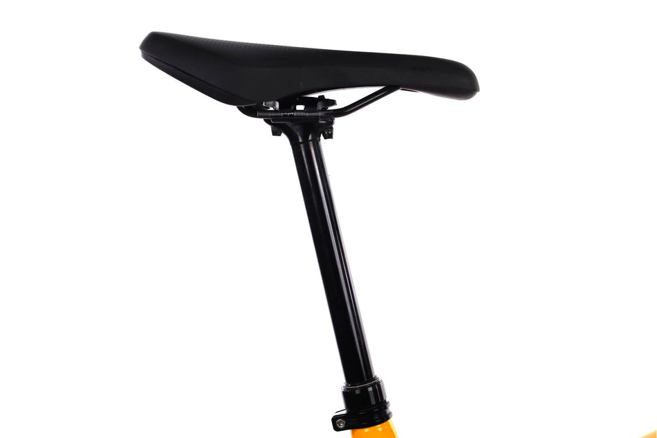 Orbea Wild H20
