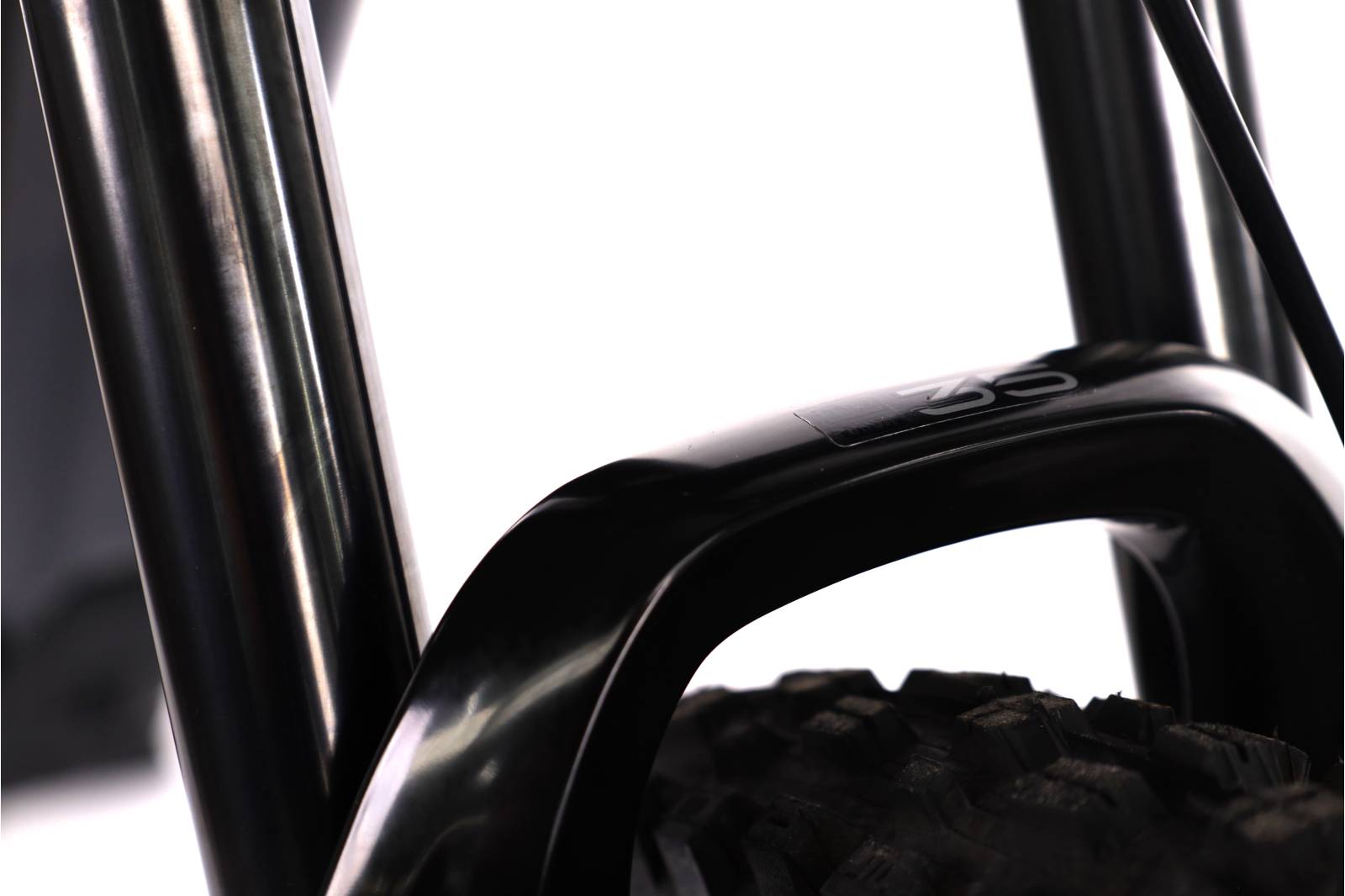 Orbea Wild H30