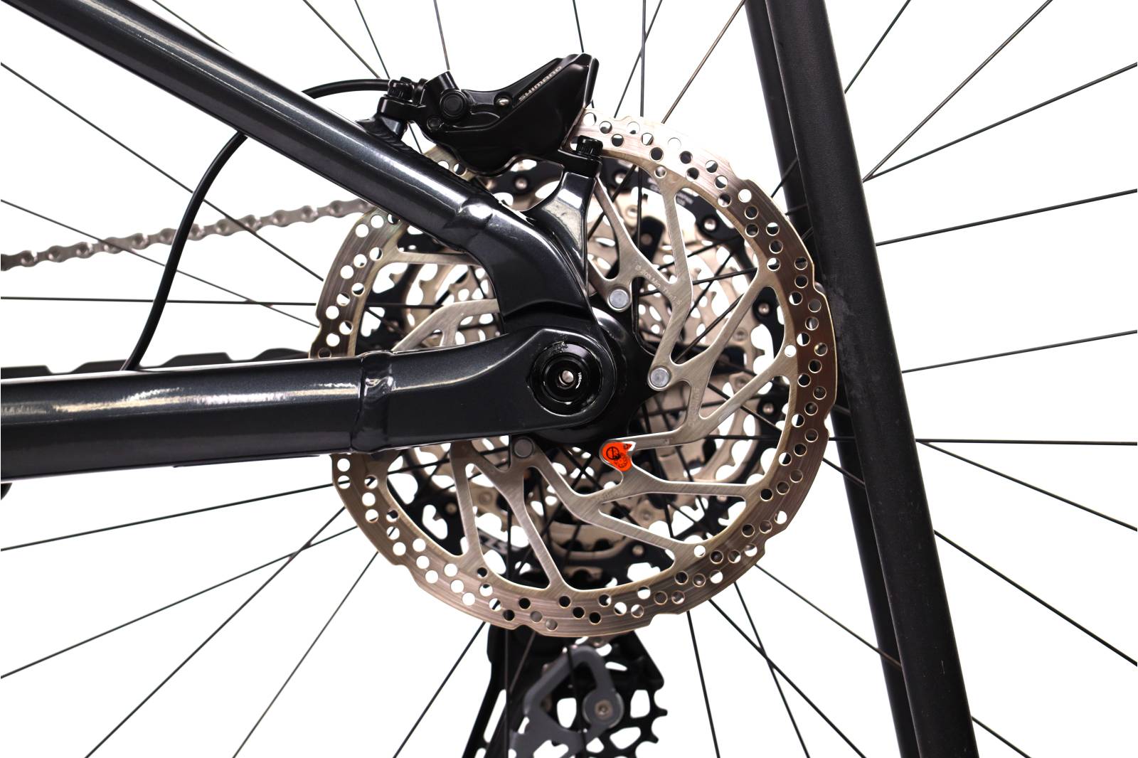 Orbea Wild H30