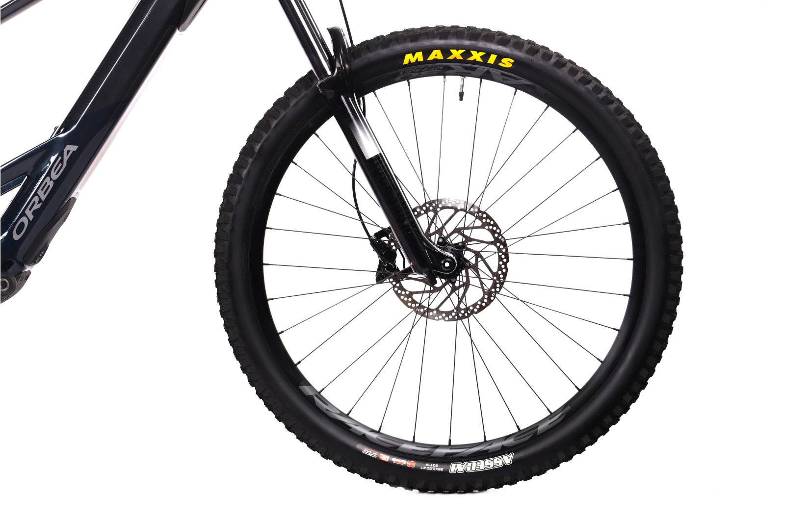 Orbea Wild H30