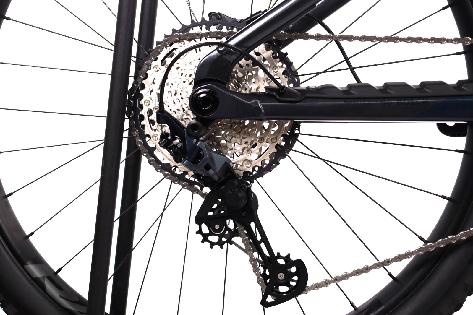 Orbea Wild H30