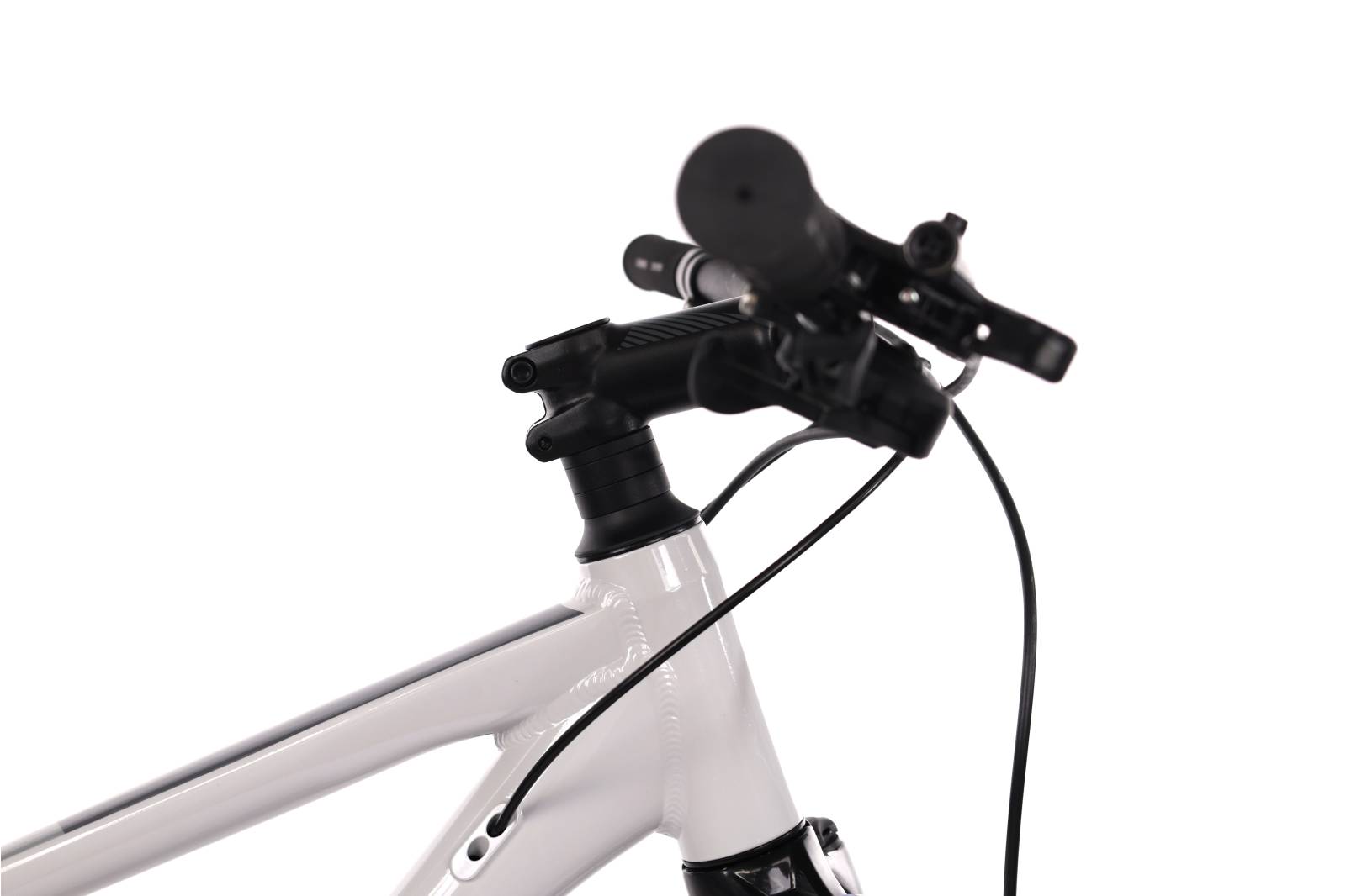 Focus Whistler 3.8
