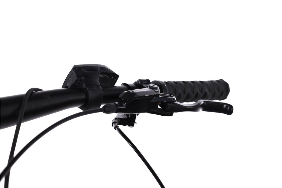 Bianchi e-Omnia FX Type