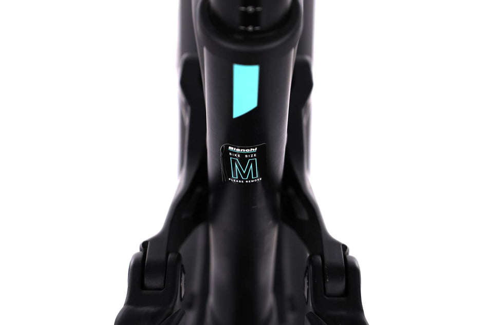 Bianchi e-Omnia FX Type
