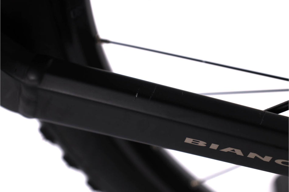 Bianchi e-Omnia FX Type