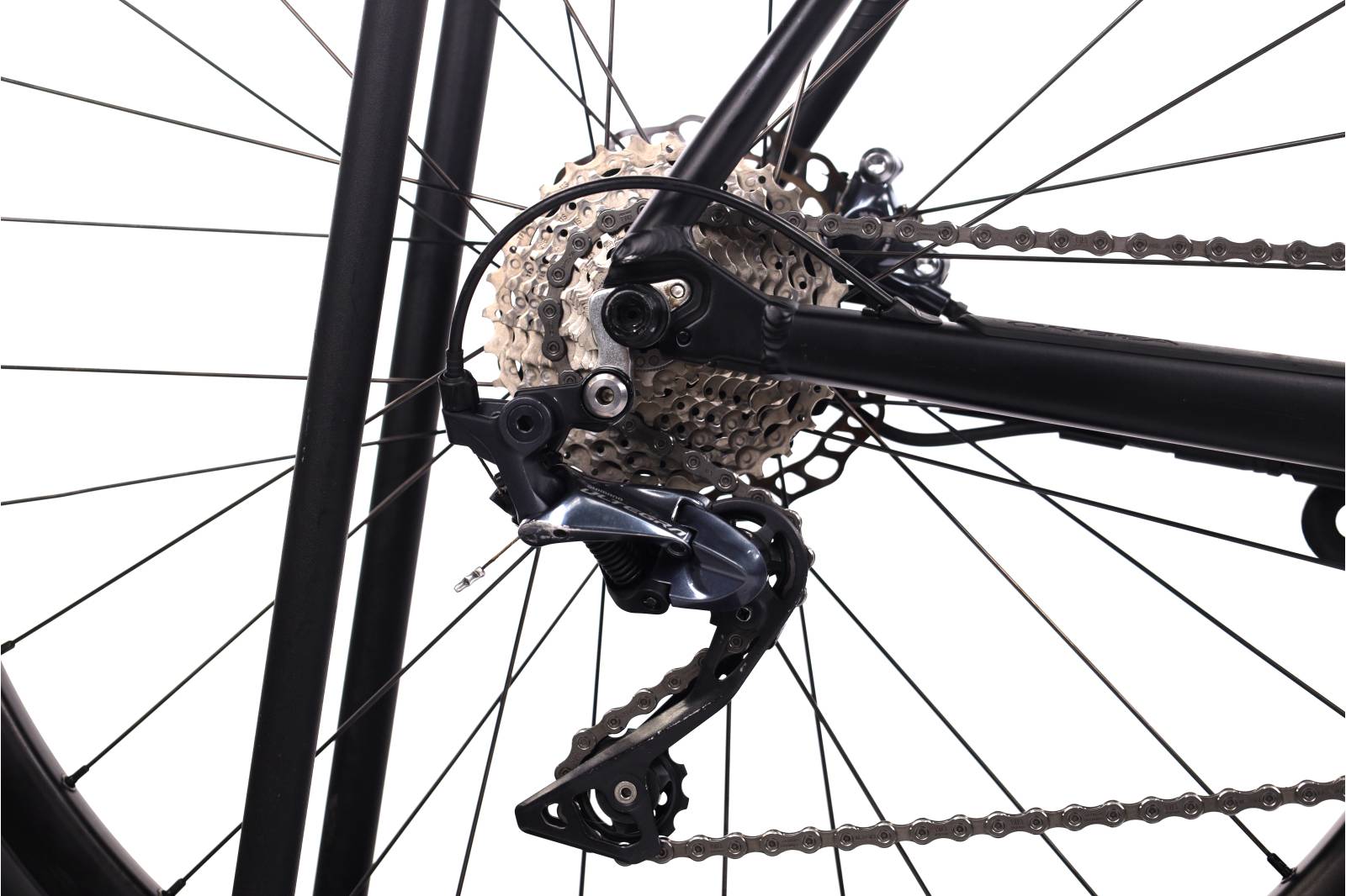 Orbea Gain D20