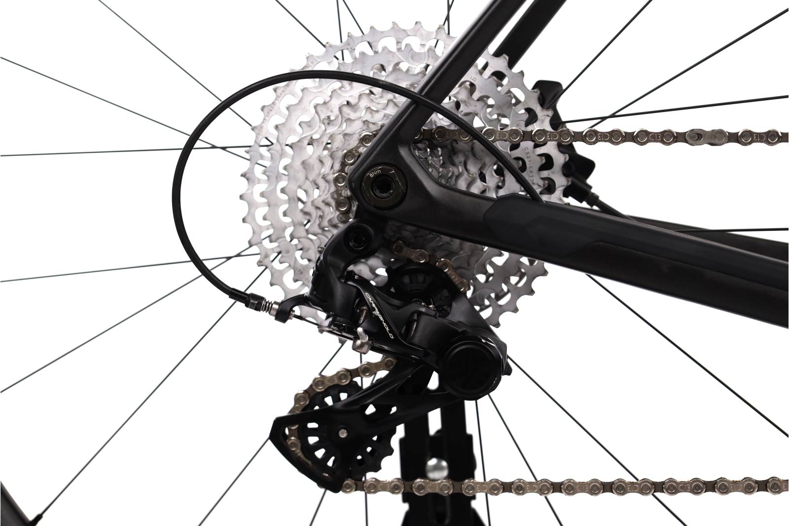 Orbea Terra M22