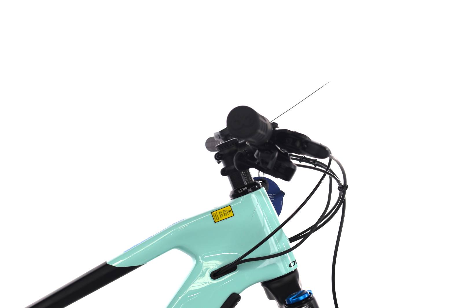 Orbea Wild FS M20