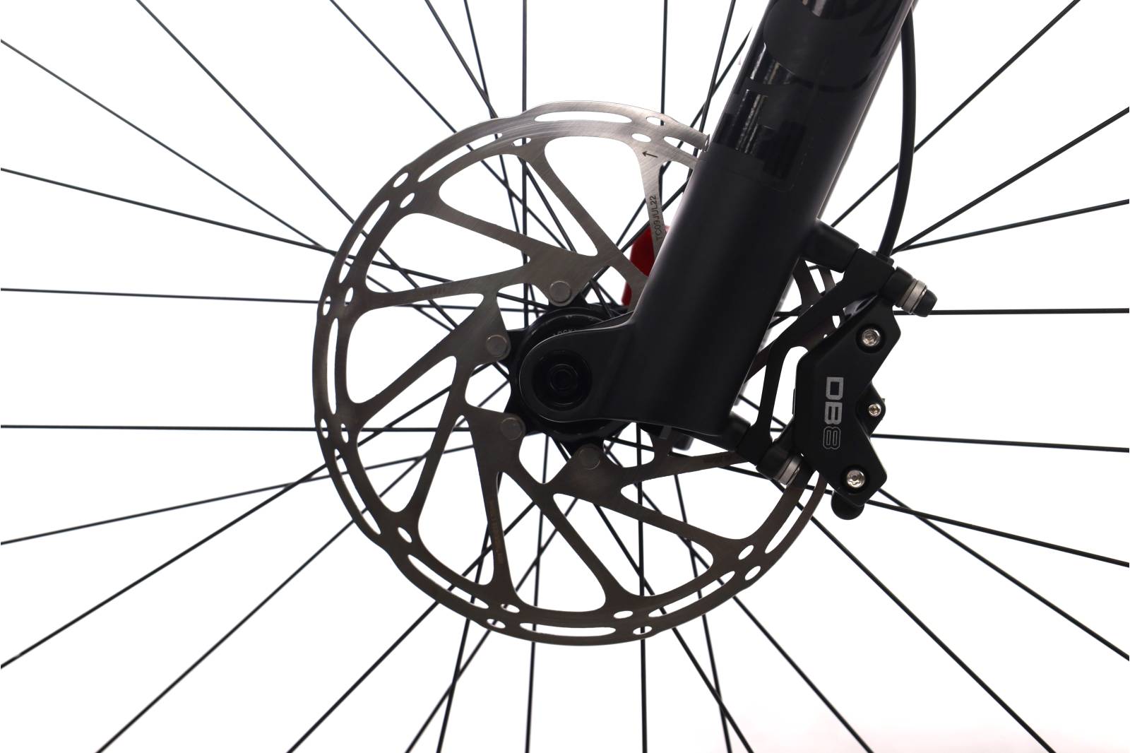 Orbea Wild FS M20