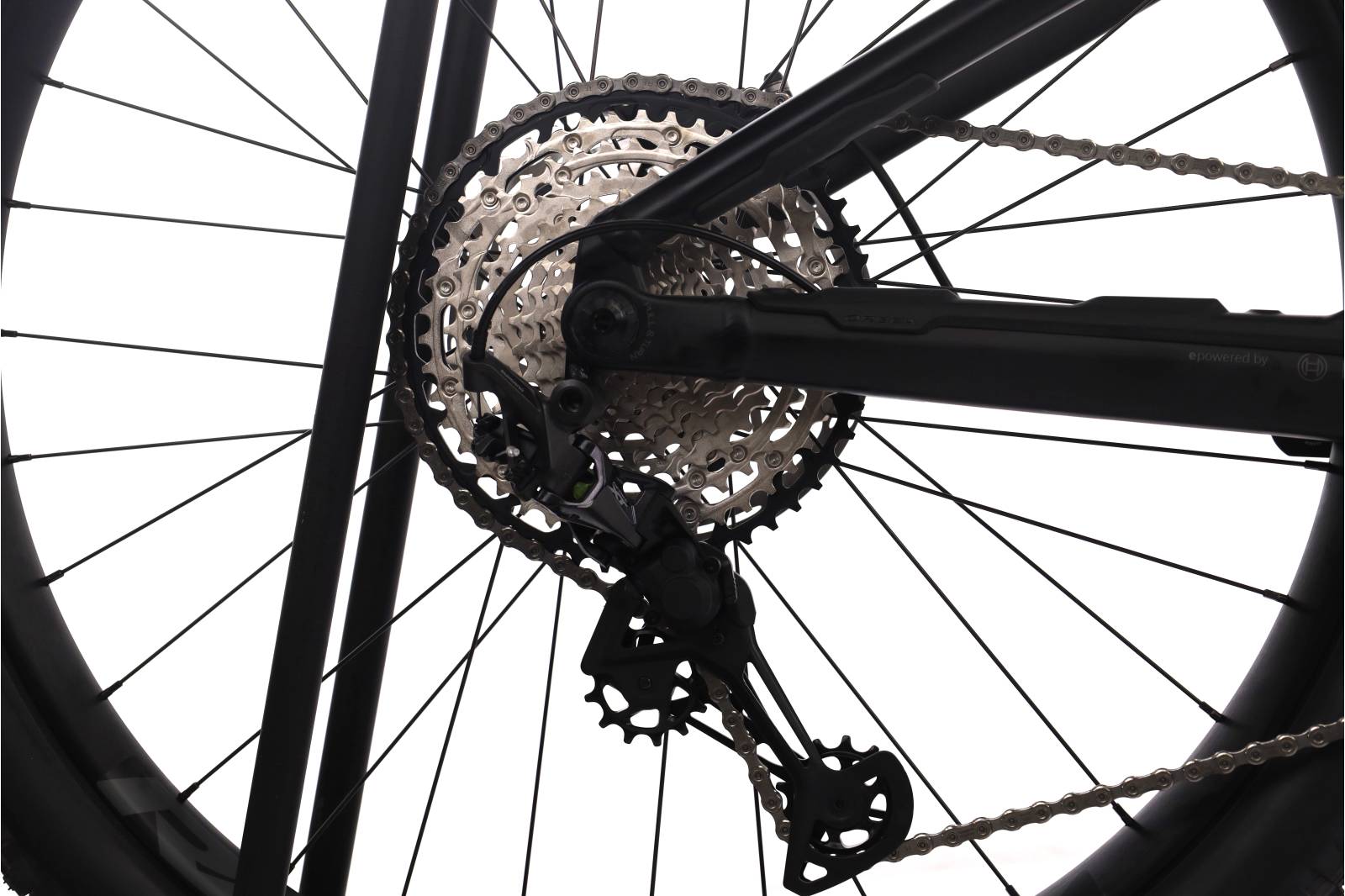Orbea Wild FS M20