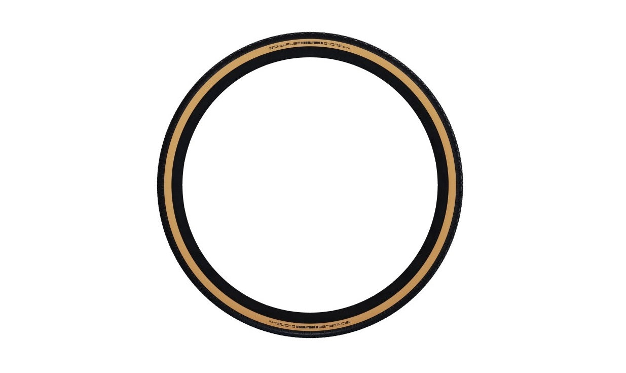 schwalbe g-one bite race guard