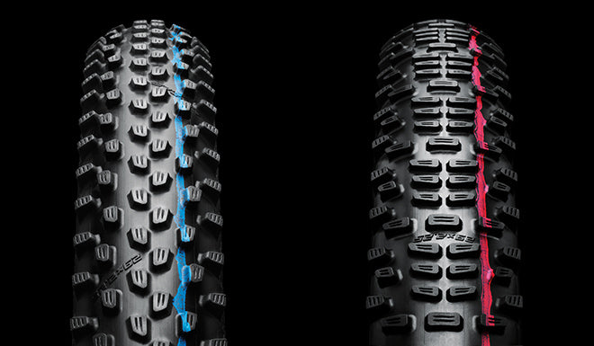 Schwalbe Racing Ray et Racing Ralph : pneus complémentaires pour XC moderne