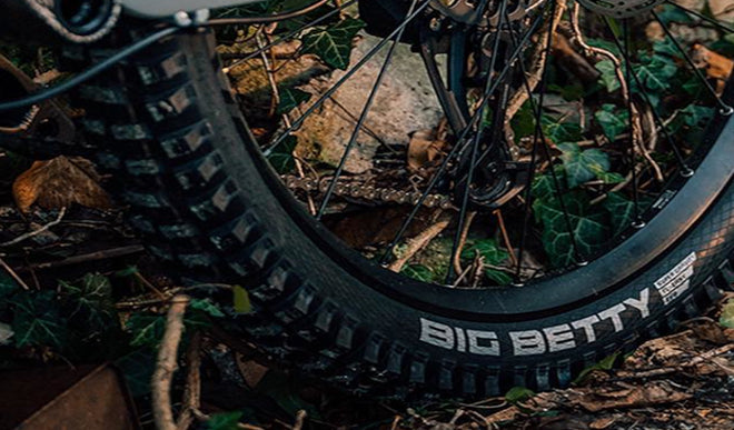 Test des nouveaux pneus VTT Schwalbe : le Magic Mary et le Big Betty