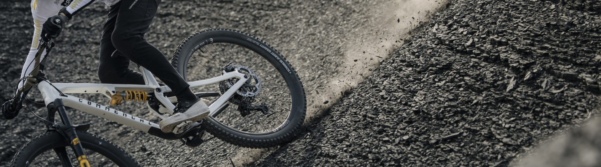 Pneus VTT Schwalbe Albert