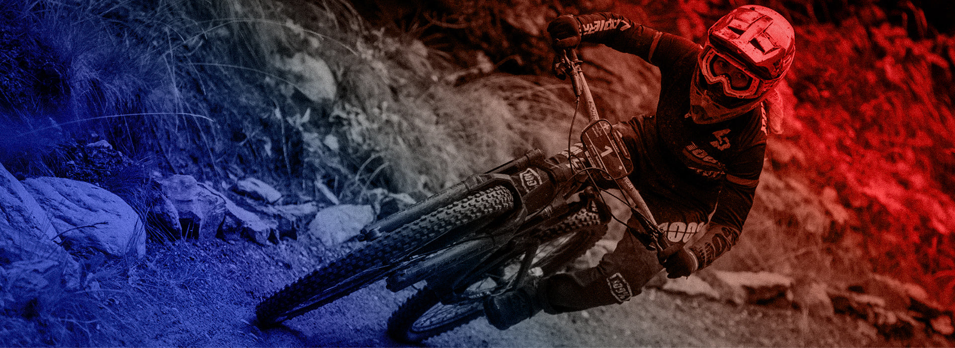 Les marques françaises