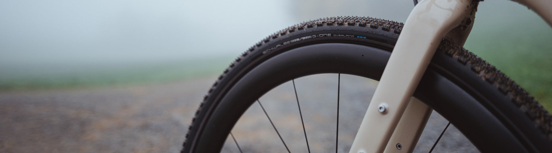 Schwalbe G-One