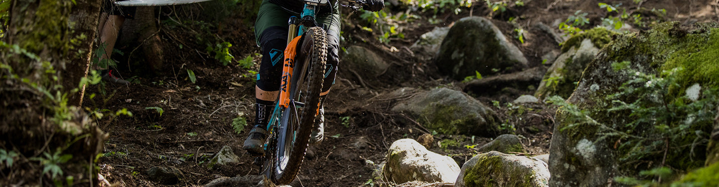 Pneus VTT Maxxis Minion DHF