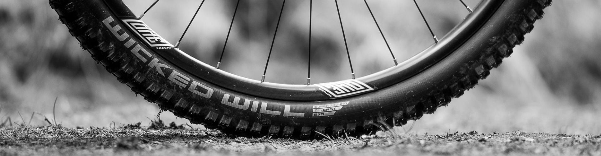 Schwalbe wicked will