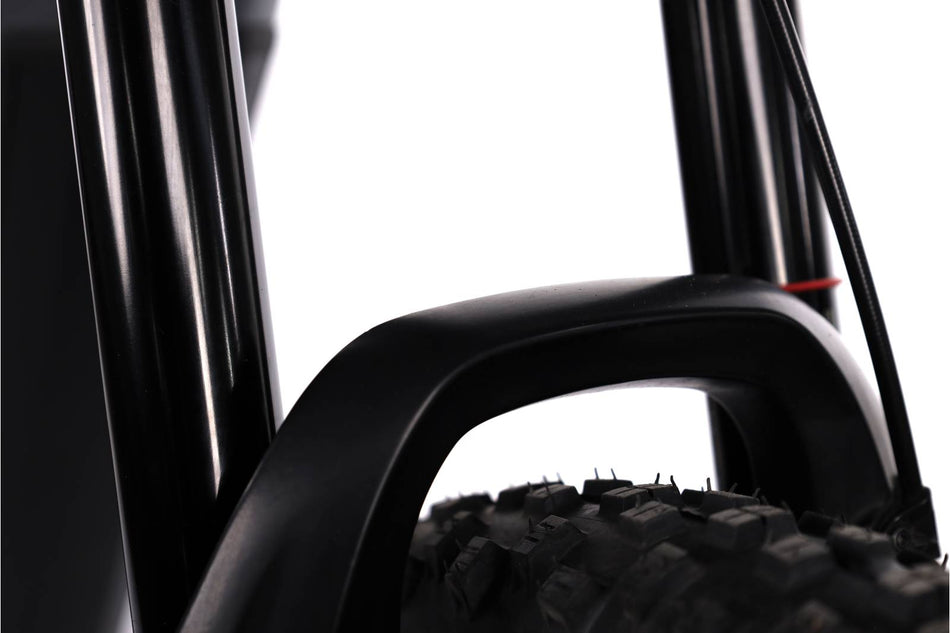 Haibike AllMtn 4 - EMTB Doble