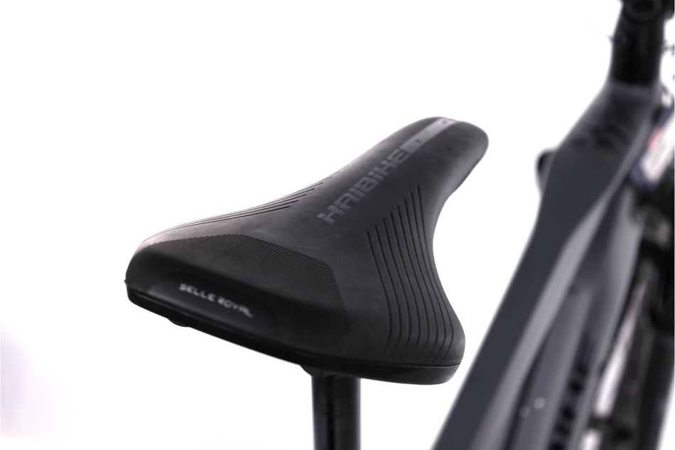 Haibike AllMtn 4 - EMTB Doble