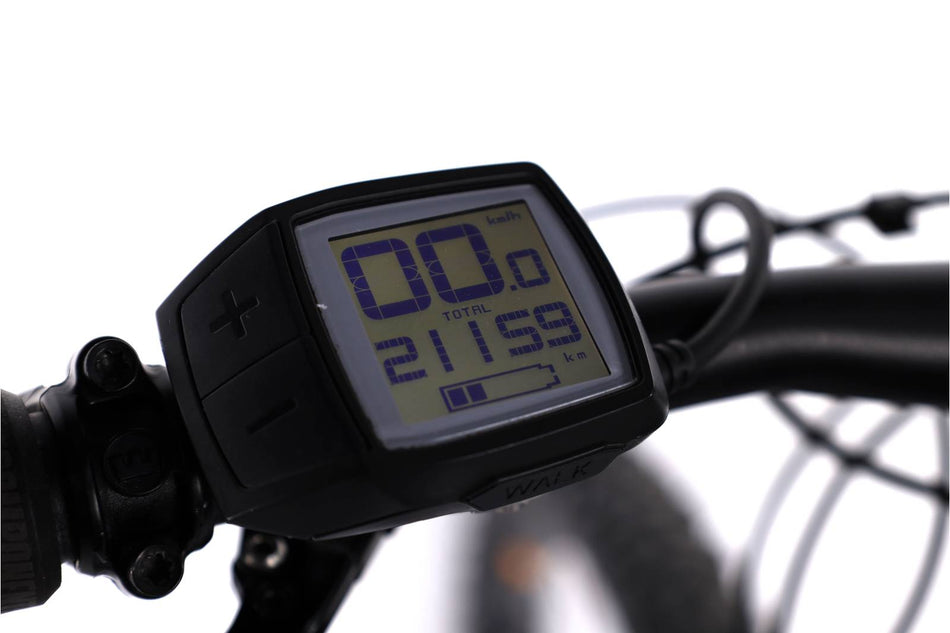 Haibike AllMtn 4 - EMTB Doble