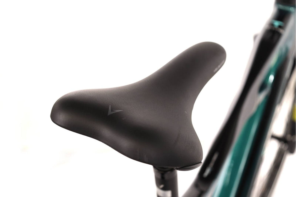 Bianchi  e-Vertic T-Type