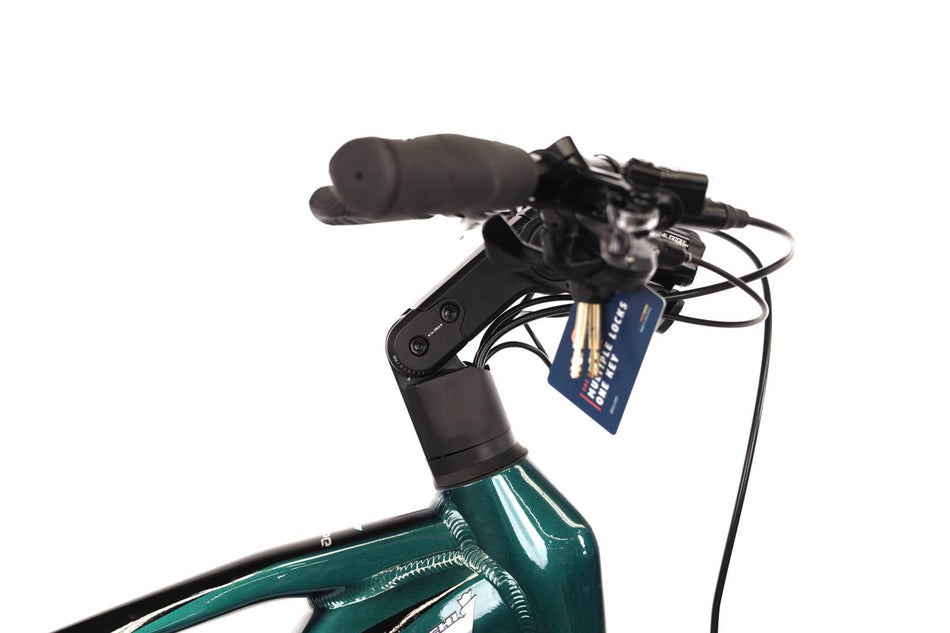 Bianchi  e-Vertic T-Type