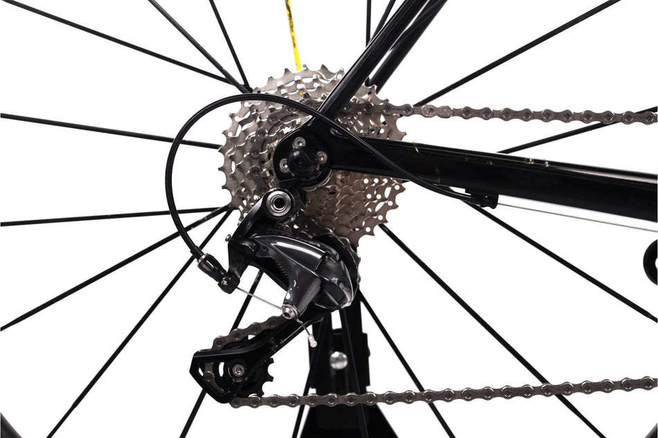 Canyon Endurace CF