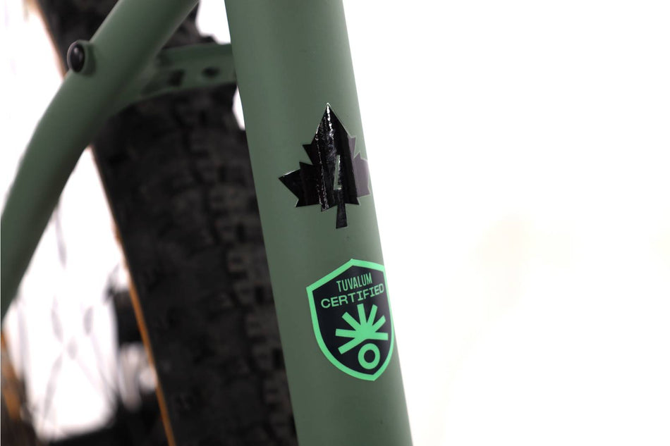 Focus Whistler 3.8