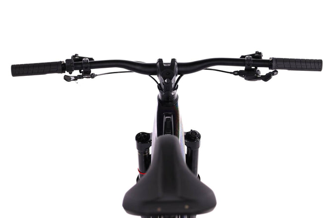 Orbea Wild M20 - EMTB Doble