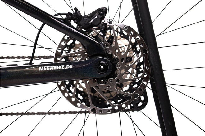 Orbea Wild M20 - EMTB Doble