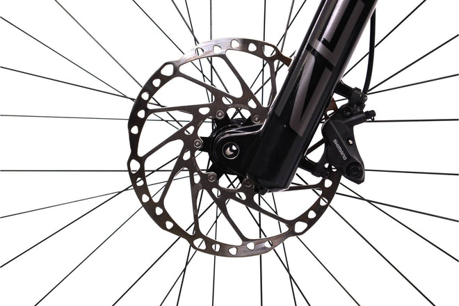 Orbea Wild M20 - EMTB Doble