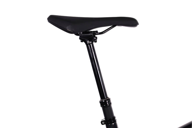 Orbea Wild M20 - EMTB Doble