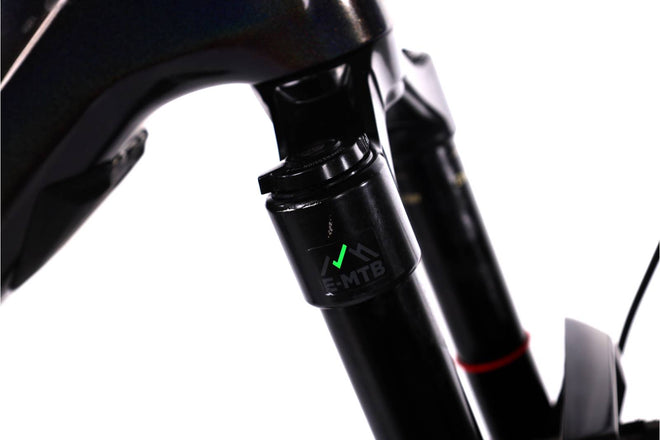 Orbea Wild M20 - EMTB Doble