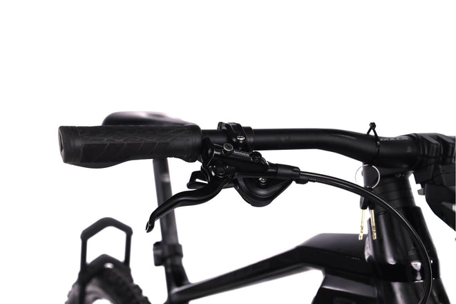 Bulls Sonic Evo 1 - EMTB Rigida