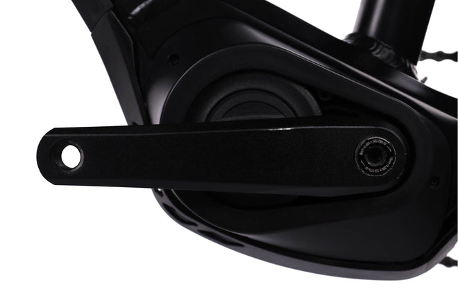 Bulls Sonic Evo 1 - EMTB Rigida