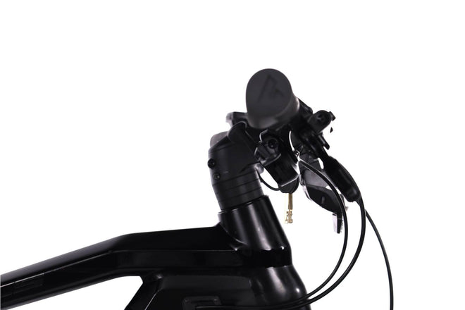 Bulls Sonic Evo 1 - EMTB Rigida