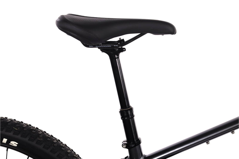 Mondraker Chaser