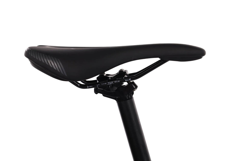 Focus Whistler 3.8