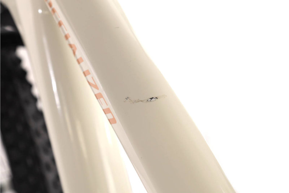 Specialized Epic Evo pro