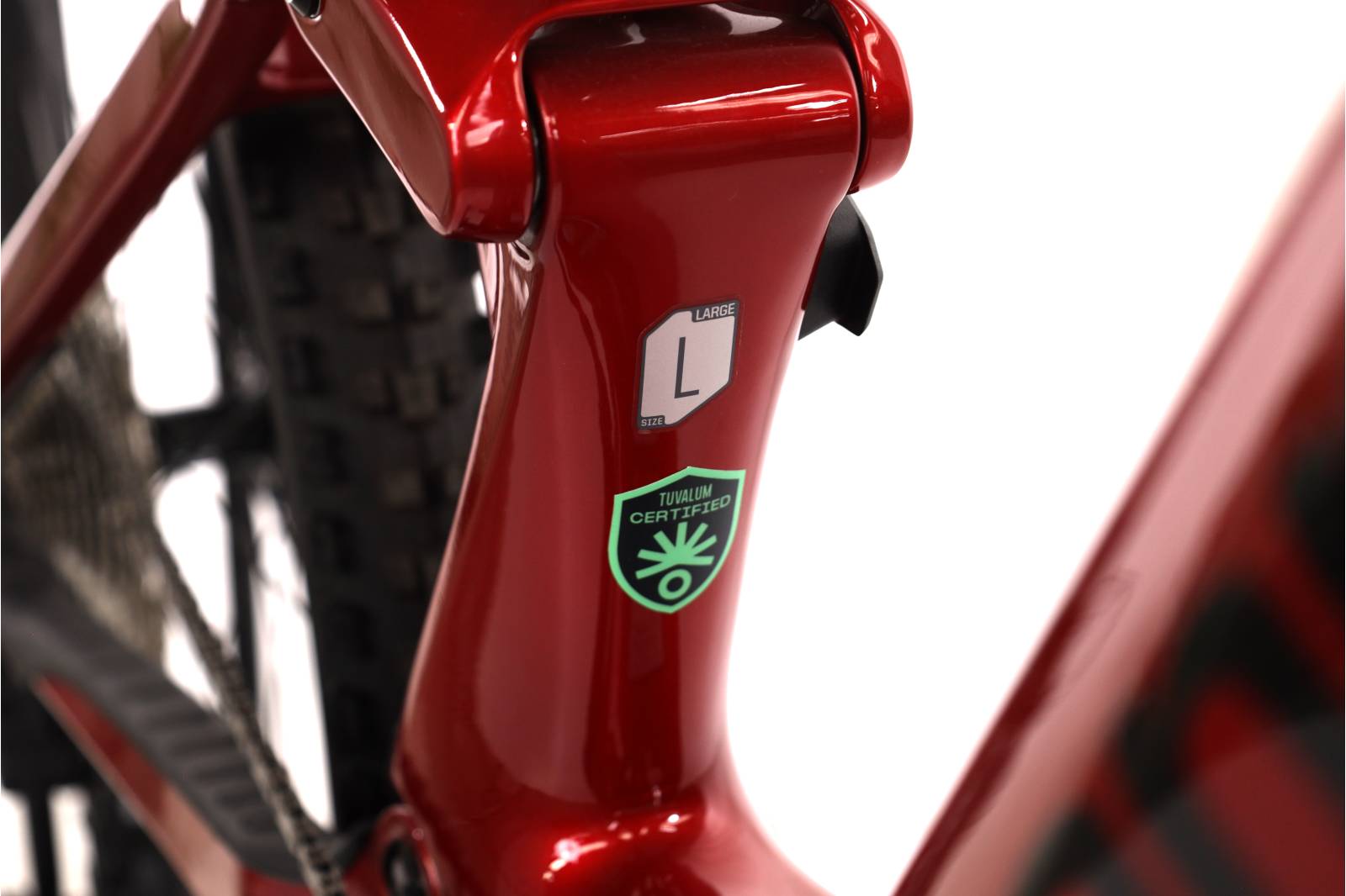 Cannondale Moterra SL 2