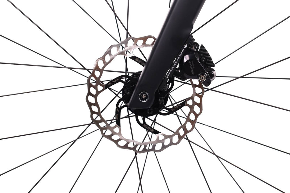 Orbea Gain D30i