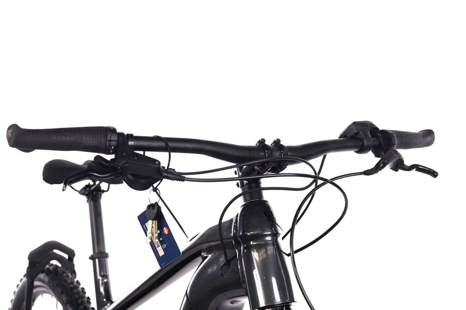 Trek Powerfly 4